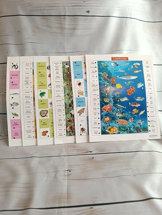 Jogo didático, Animais do mundo