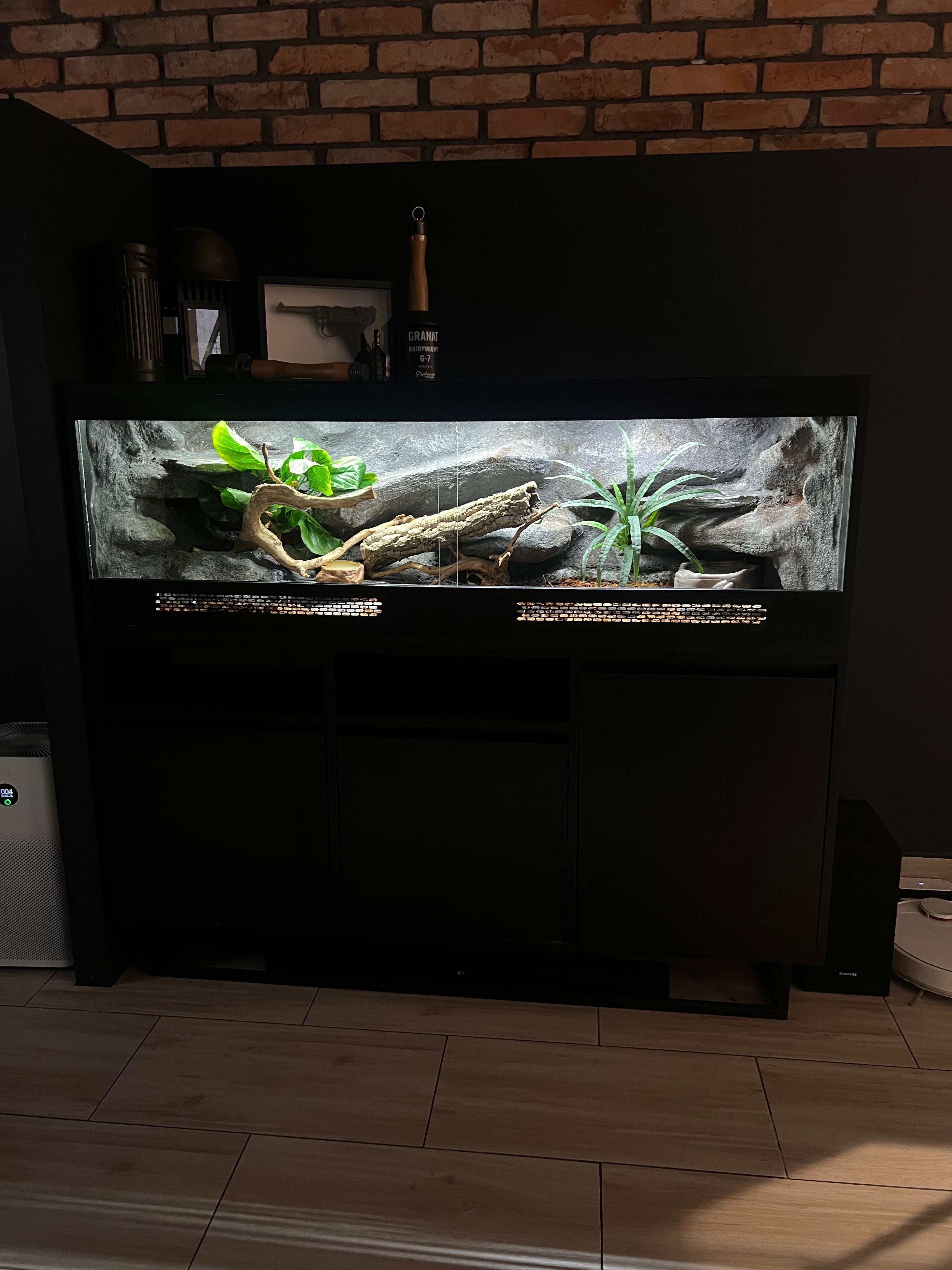 Terrarium dla węża