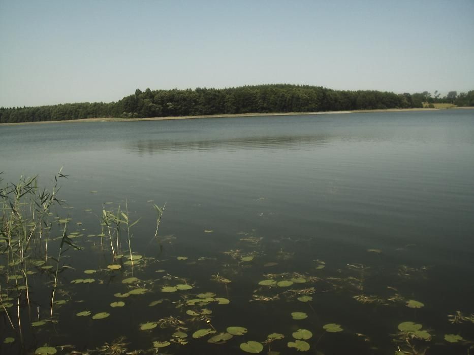 Mazury E okbudowlana działka nad jeziorem    Sajzy   Ełk sprzedaż