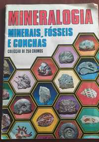 Caderneta Francisco Mas "Mineralogia, minerais, fósseis e conchas"
