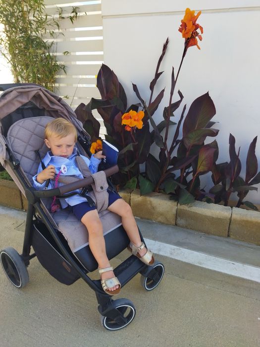 Прогулянкова коляска Carrello Bravo 2021 CRL-8512