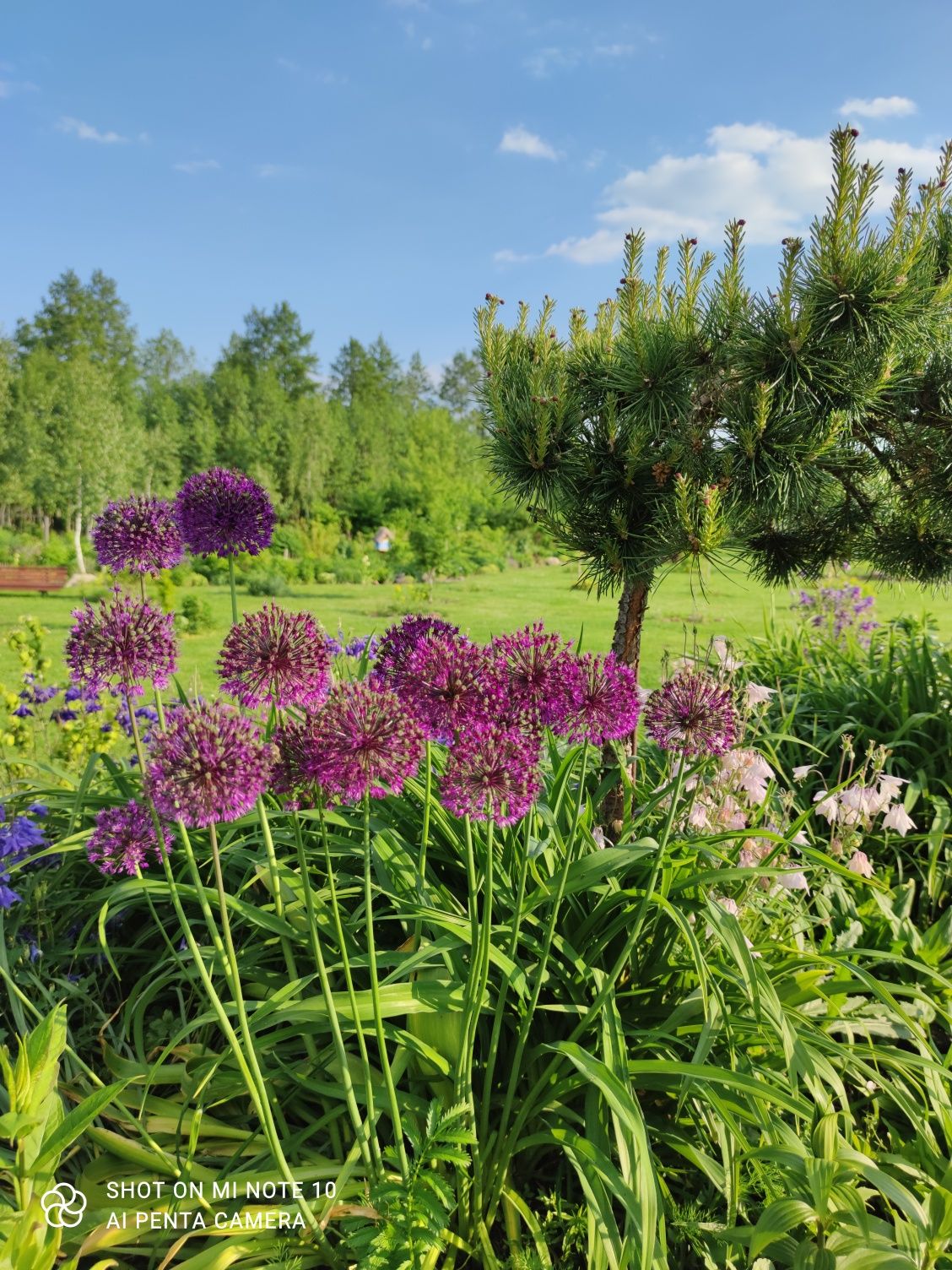 Agroturystyka Kmiecikówka