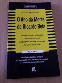 O Ano da Morte de Ricardo Reis