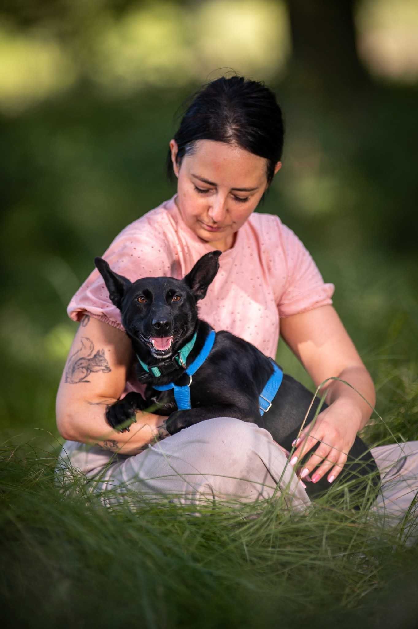Koko - śliczny piesek szuka domu ADOPCJA