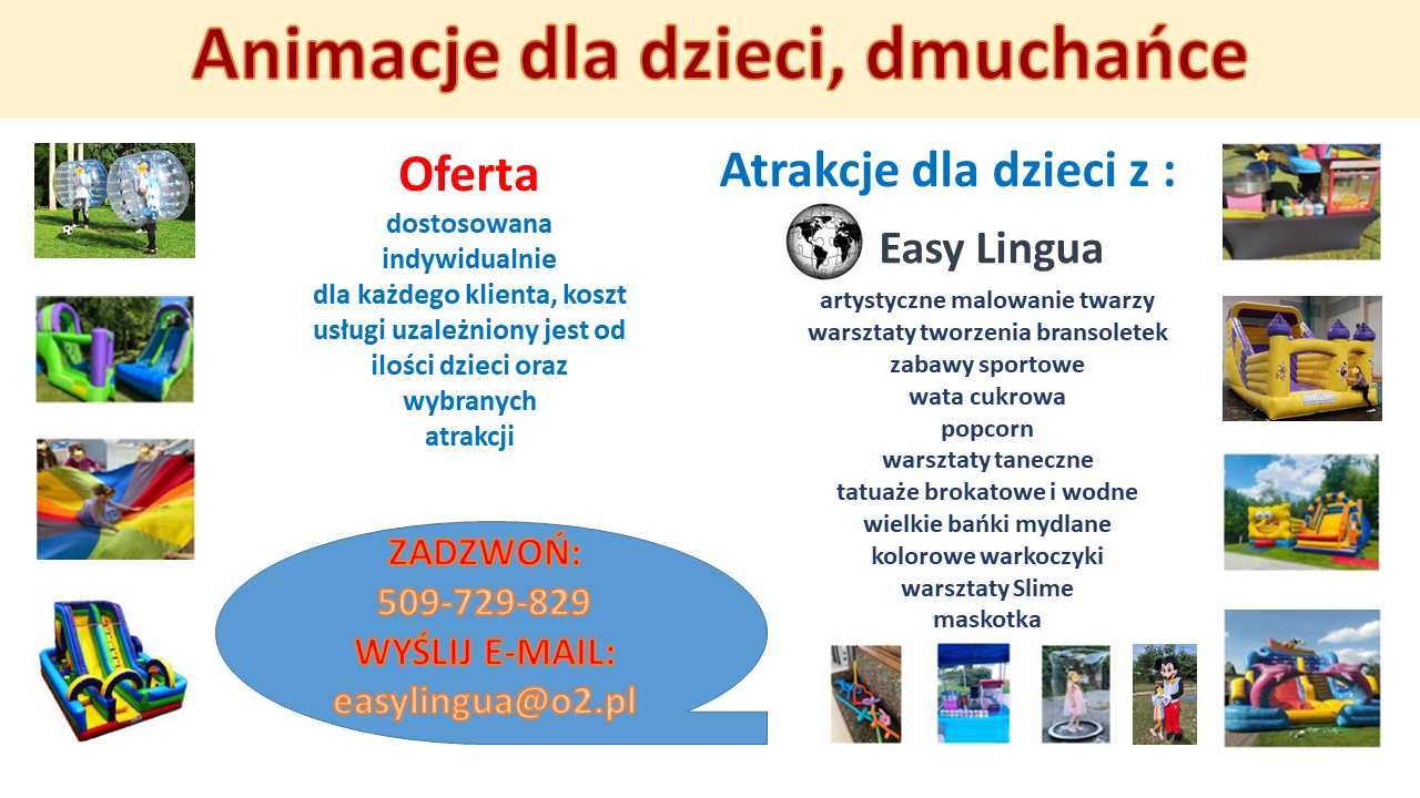 wynajem, dmuchaniec, dmuchana zjeżdżalnia, animacje, piknik