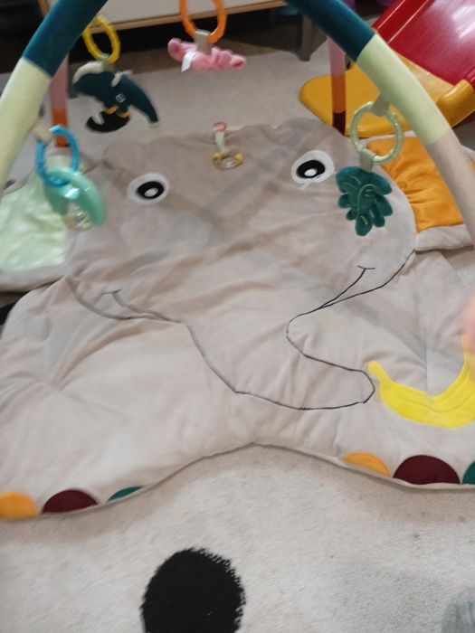 Mata niemowlęca słoń