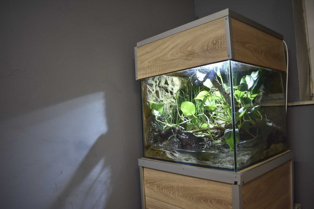 Vivarium Paludarium ekosystem samowystarczalny z krabami i rybami