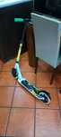 Vendo esse trotineta e skate