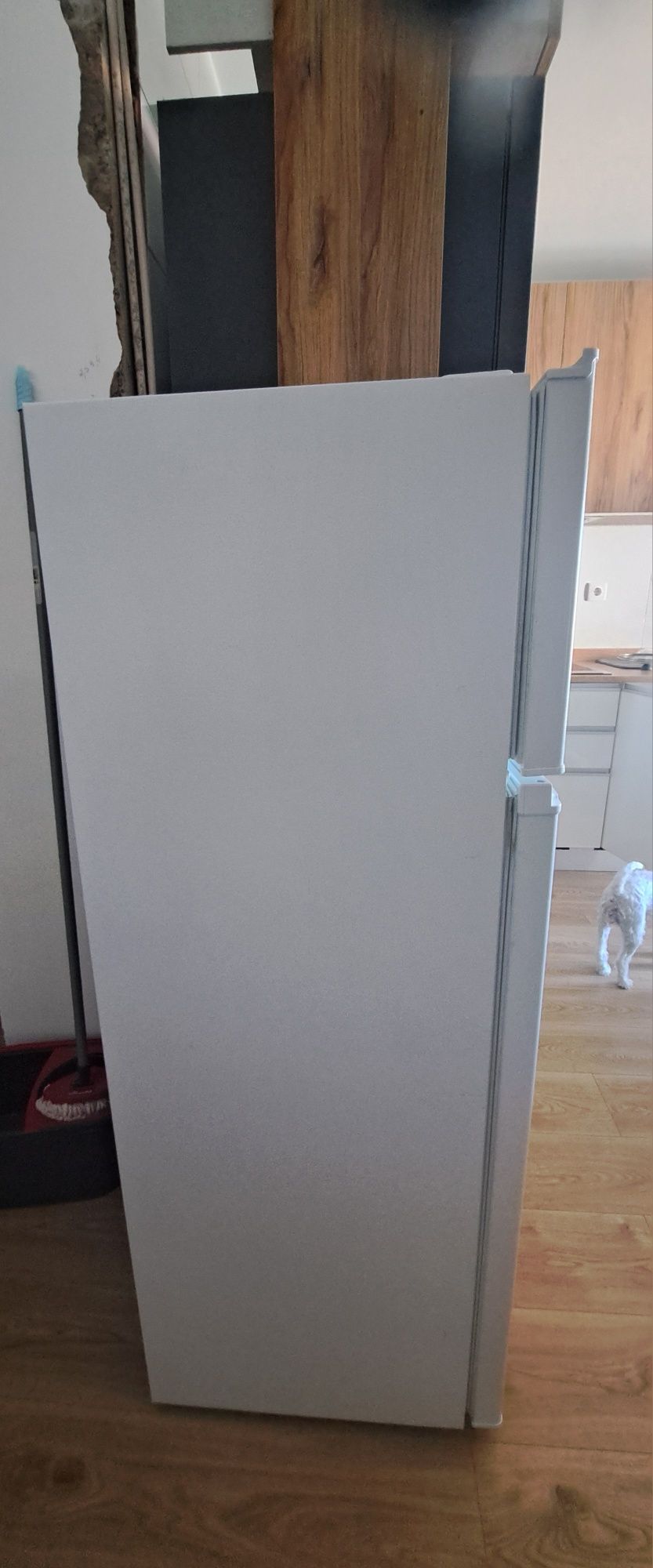 FRIGORIFICO CANDY – CDD 2145 E -  como novo