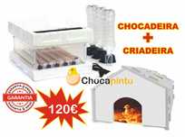Chocadeira / Incubadora 24ovos + Criadeira