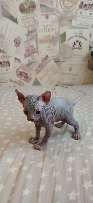 Хлопчик сфінкс!!