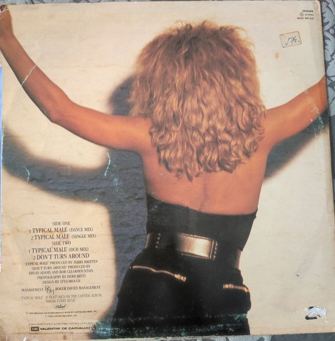 LP vinil - Tina Turner - typical male