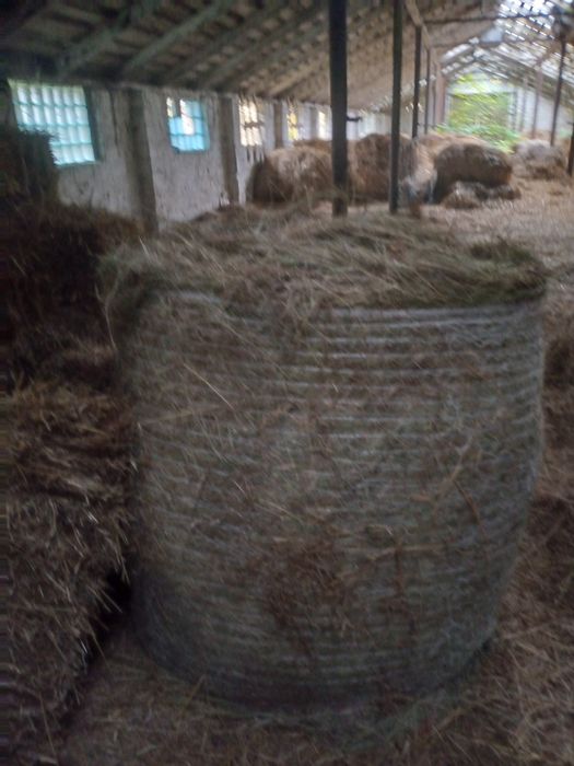 Сено в рулонах   .