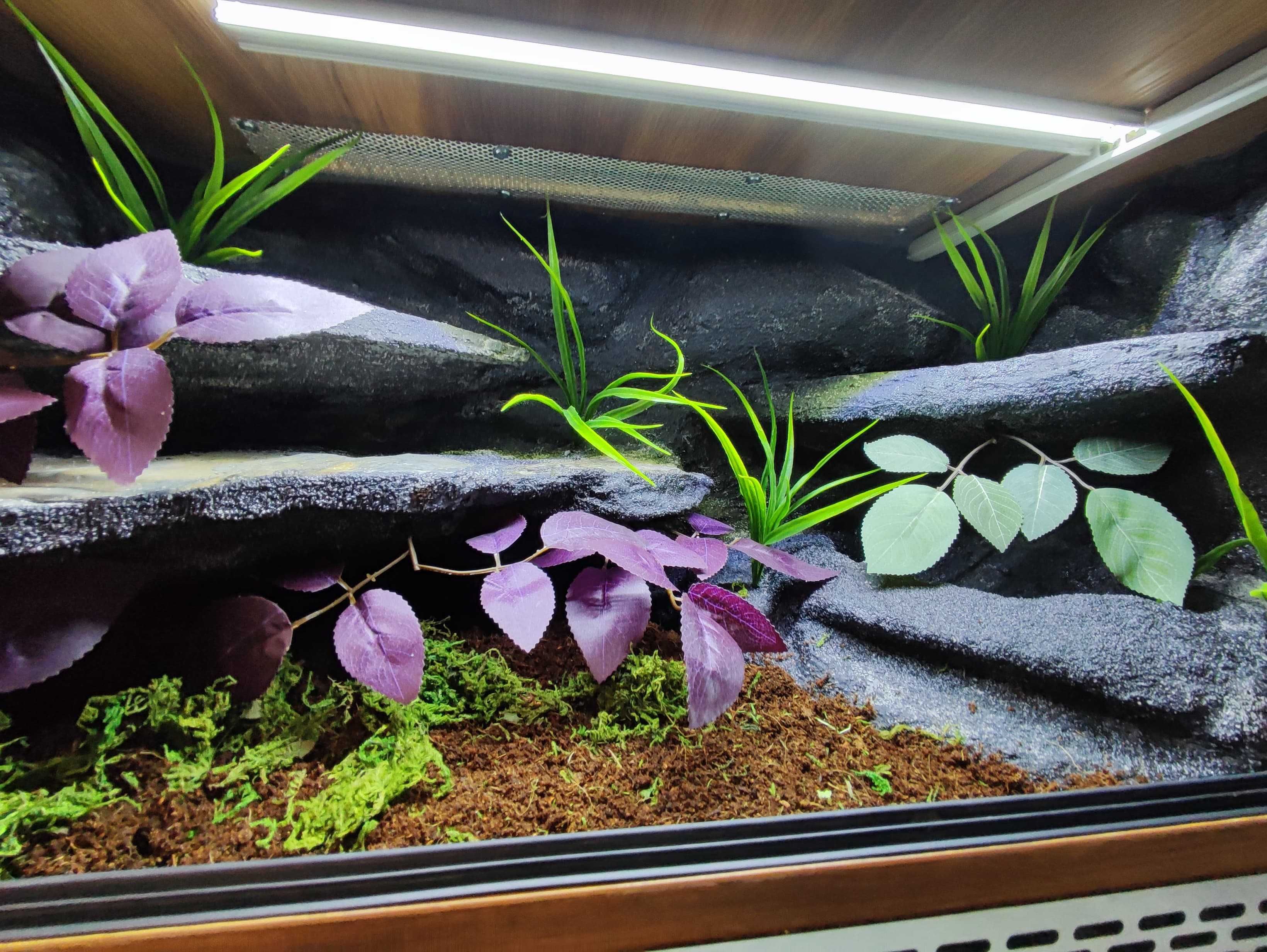 Terrarium tropikalne nr699 80/40/40 dla węża boa pyton DOSTĘPNE