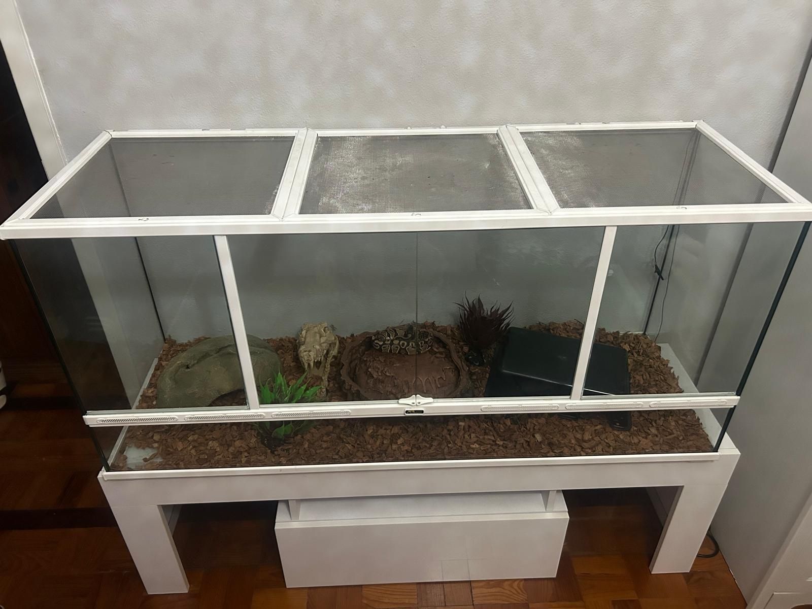 terrário praticamente novo com tudo incluido