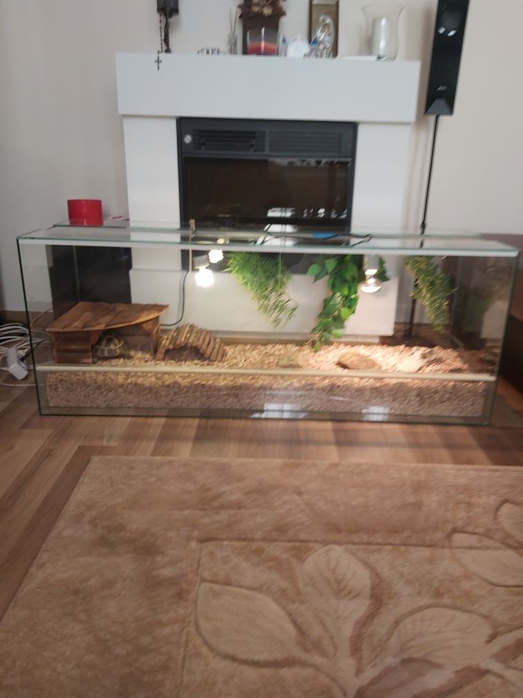 Terrarium dla żółwia stepowego wraz z wyposażeniem