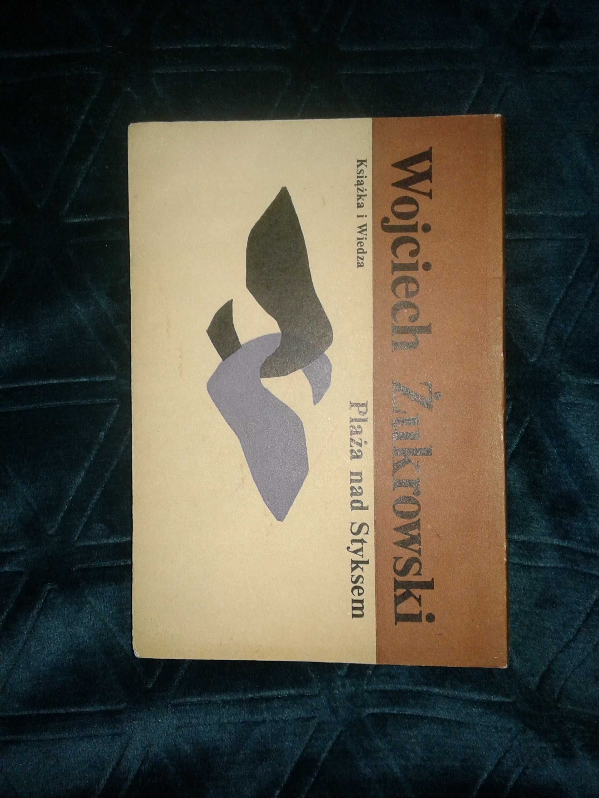 Plaża nad Styksem - Wojciech Żukrowski