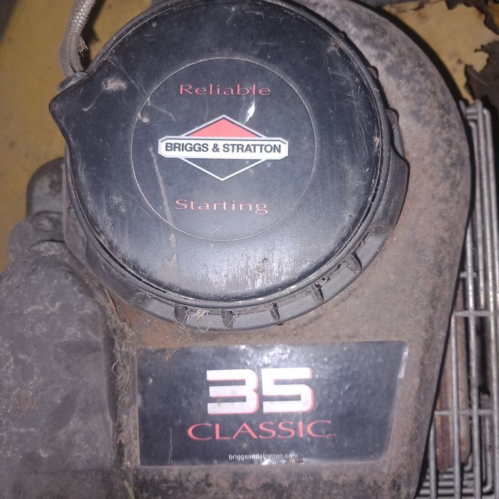 Silnik Briggs Stratton