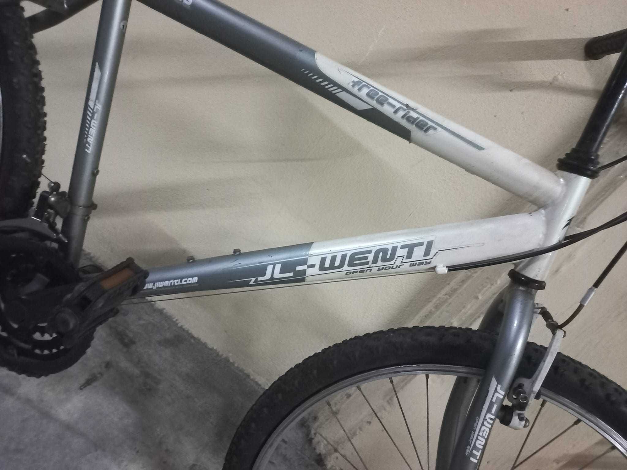 Bicicleta JL-Wenti