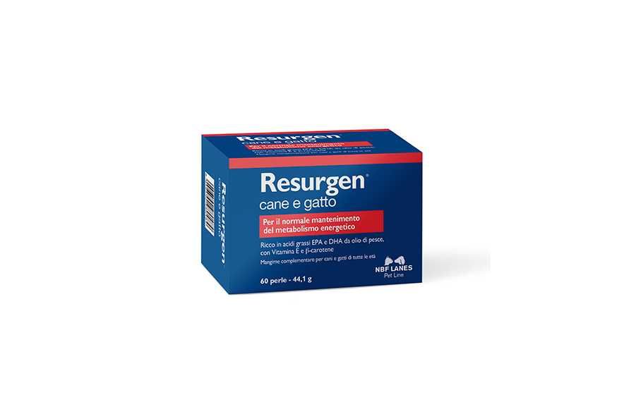 RESURGEN 60 kot i pies