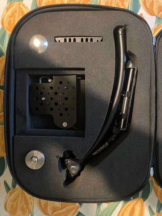 Steadicam Merlin Tiffen