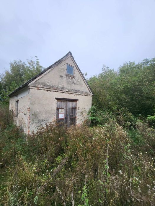 Продаж ферм. господарства 500 м.кв.