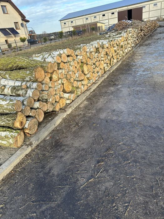 Drewno opałowe (sosna, brzoza). Stemple budowlne.