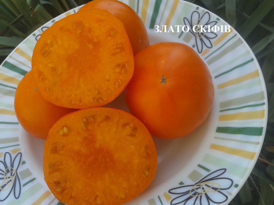 Помідори. Набір помідор.насіння помідор,домашние семена,семена помидор