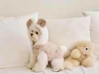 XS Курточка  кофточка зимняя осенняя весення на маленькую породу собак