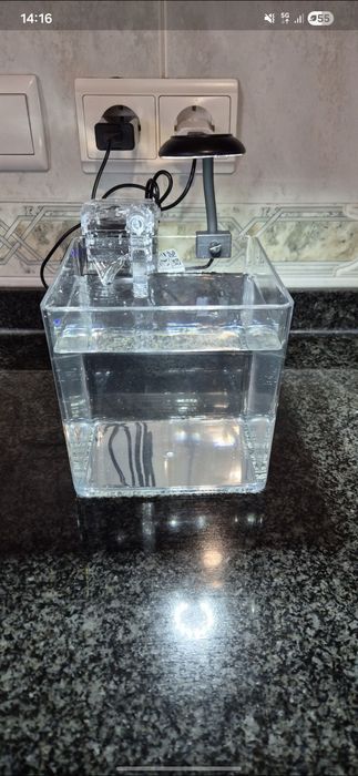 Aquário com filtro e luz