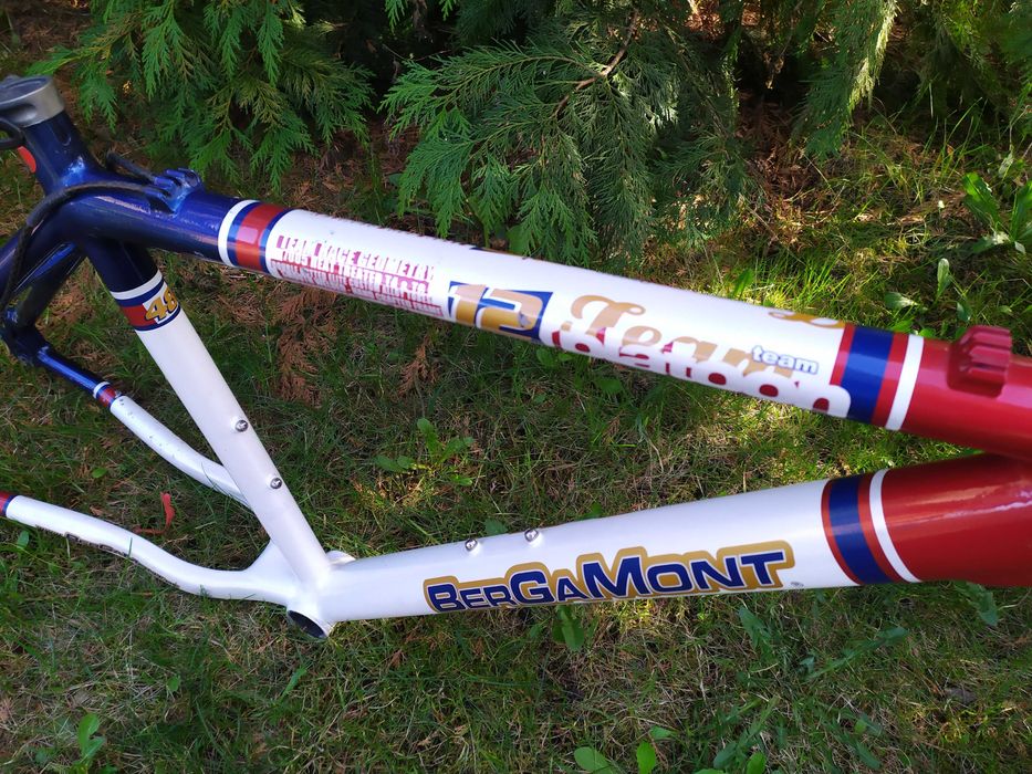 BERGAMONT PLATOON TEAM rama Alu Roz.19  Elite Custom Alloy FSA Polecam