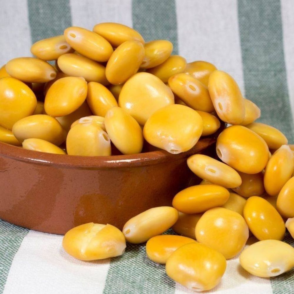 Tremoços cozidos