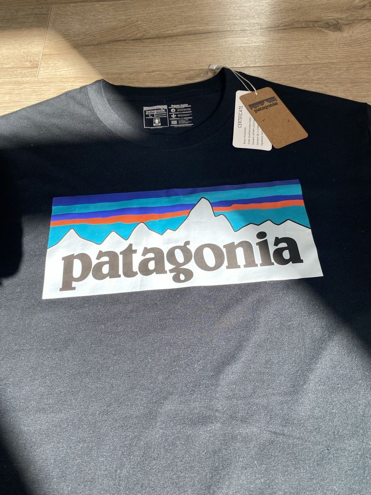 Футболка Patagonia