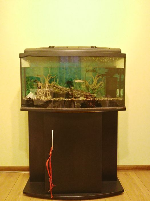 Akwarium 120 litrów