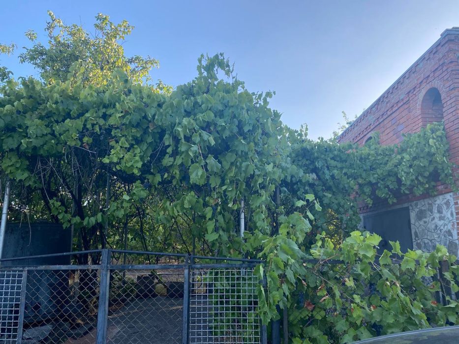 Продам дачну ділянку з будинком | Солов’їний гай