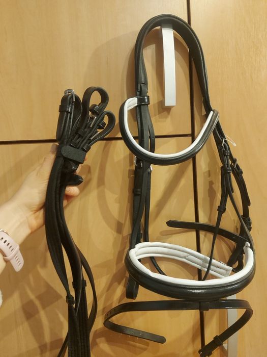 Nowe ogłowie marki Solibel