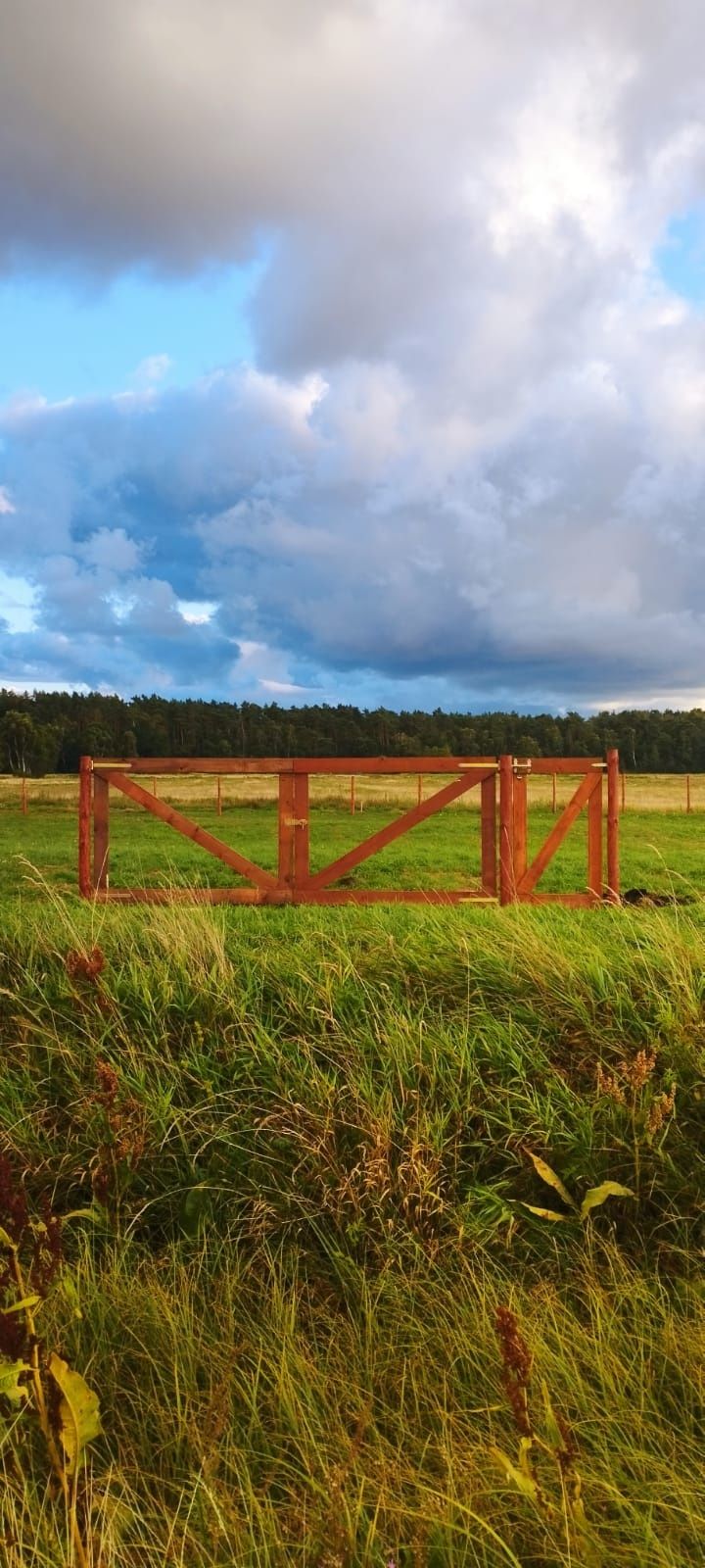 Koszenie traw i działek