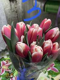 Продам луковицы тюльпанов после выгонки на 8 марта/цибулини тюльпанів