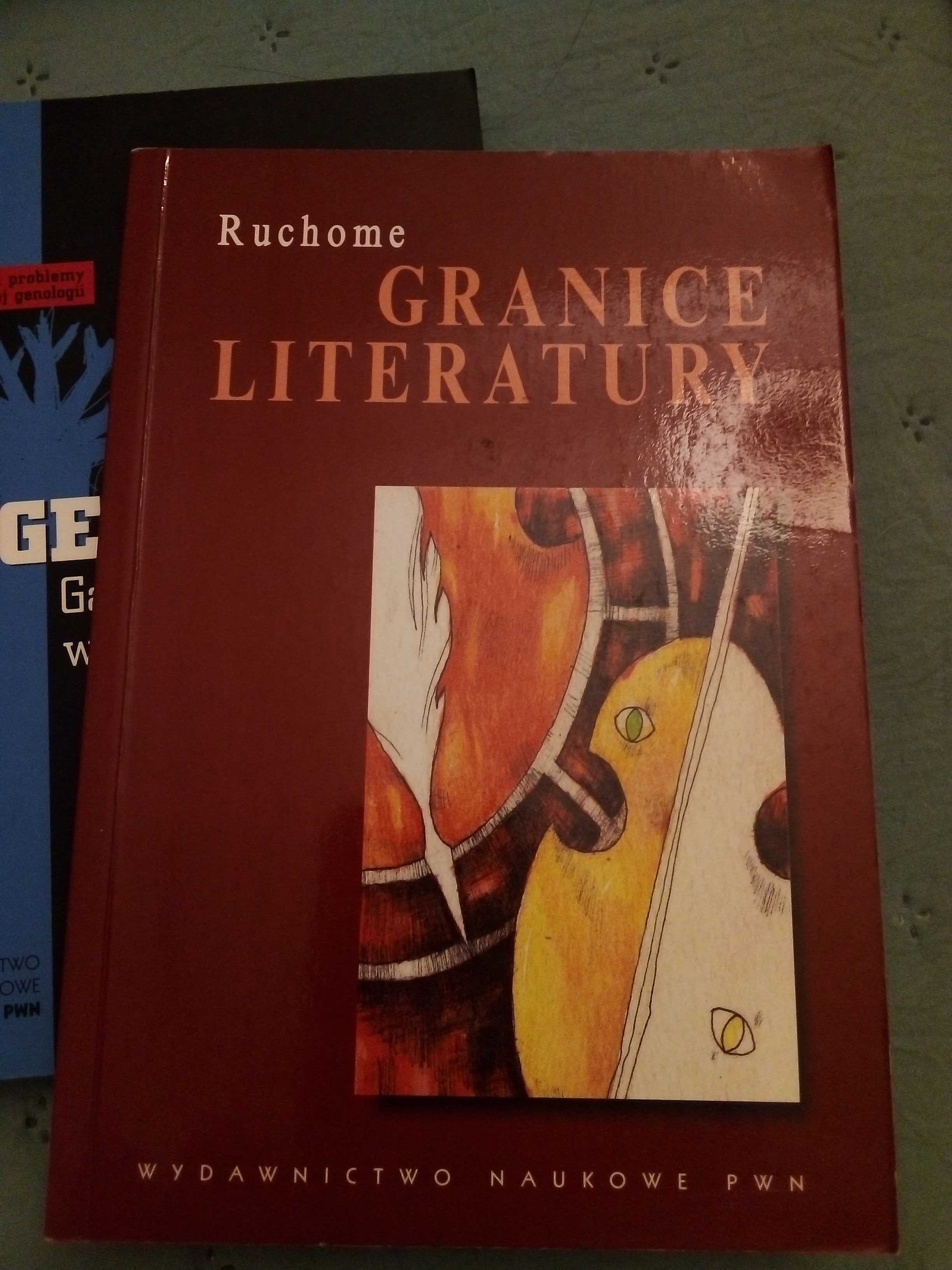 Ruchome granice literatury. W kręgu teorii kulturowej, WN PWN