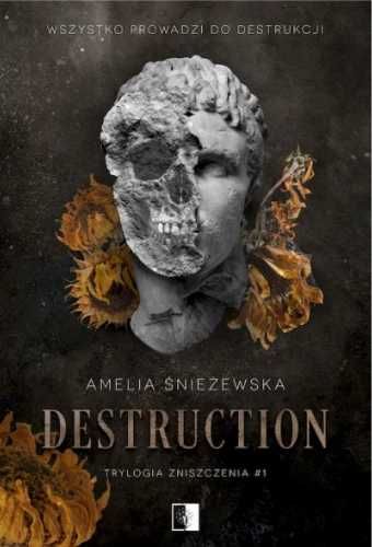 Destruction - Amelia Śnieżewska