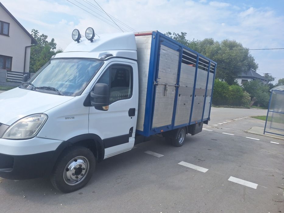 Iveco do przewozu zwierząt z waga