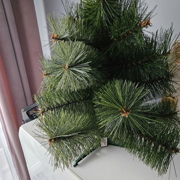 Choinka gęsta mała