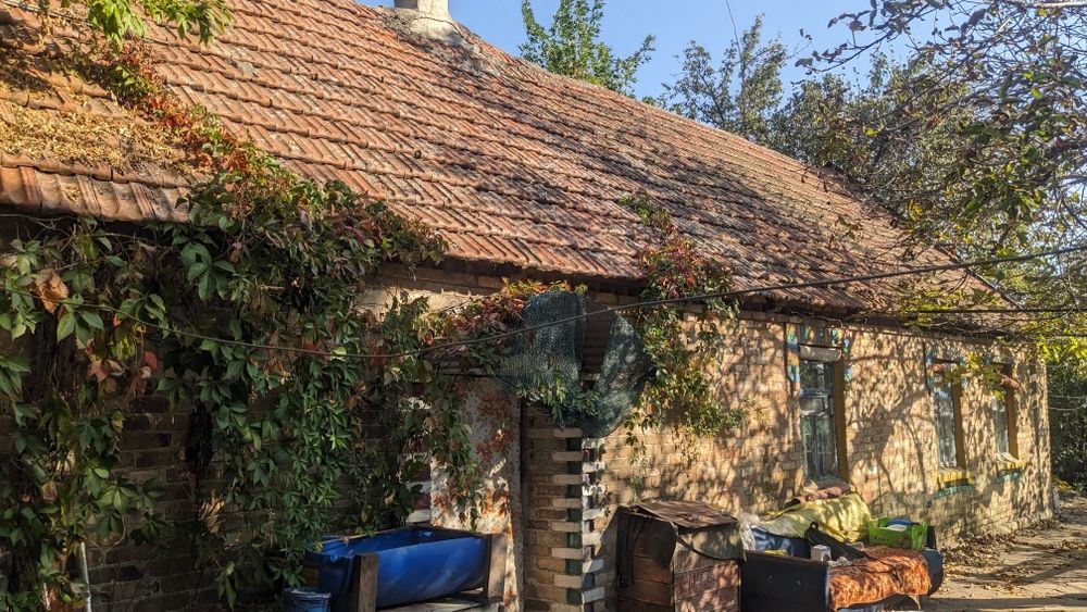 Продам дом в селе Криничное, ,40 соток земли. Или обмен на квартиру.