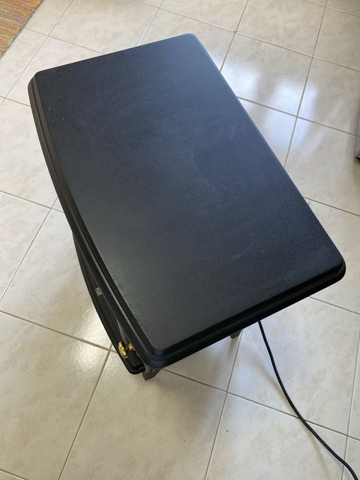 Salamandra eléctrica