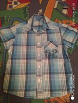 5 koszul H&M 104 - 110