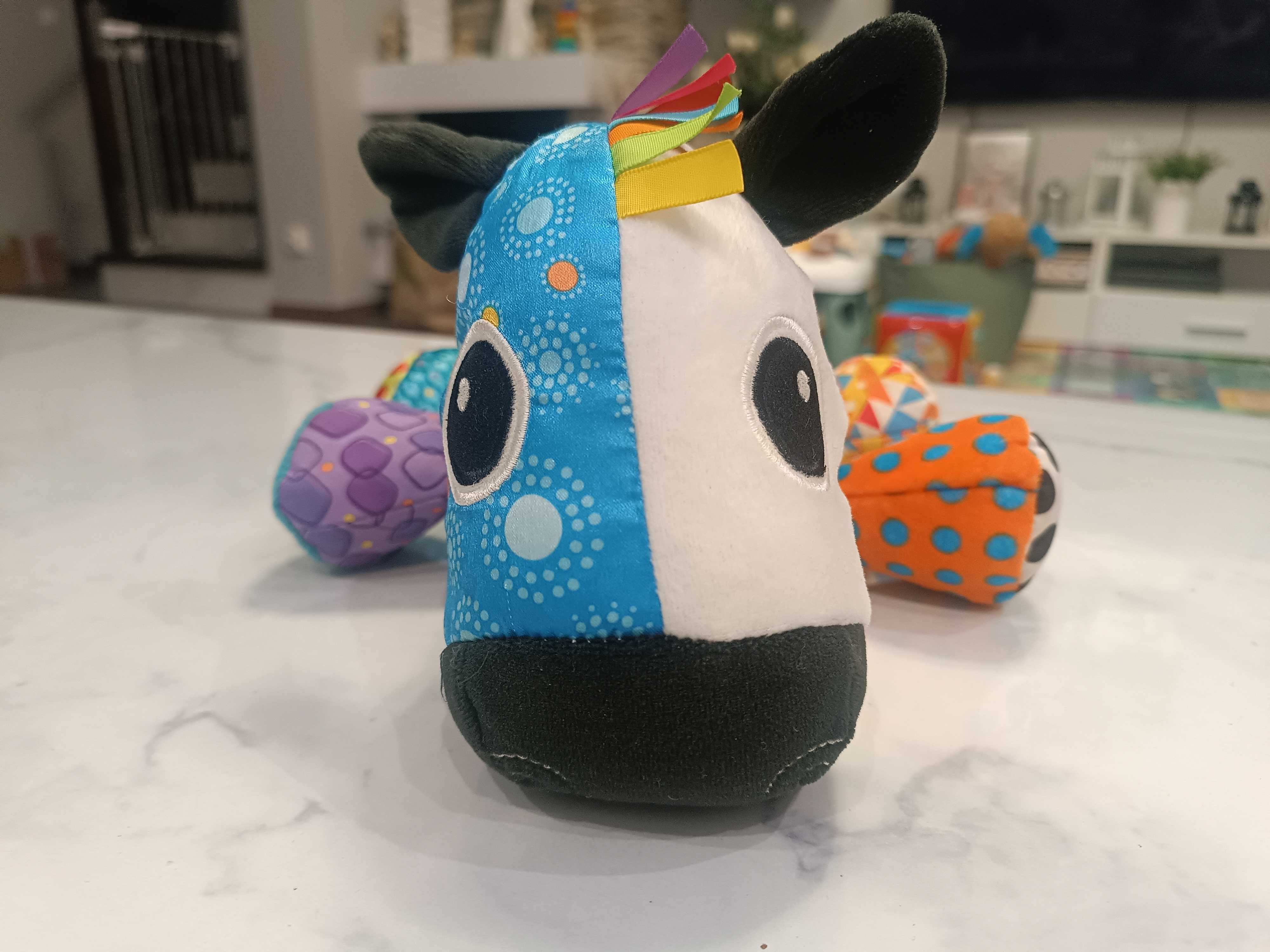 Lamaze - koncertowa zebra Kosimo