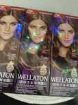Wellaton Farba do włosów 5/4 Kasztanowy