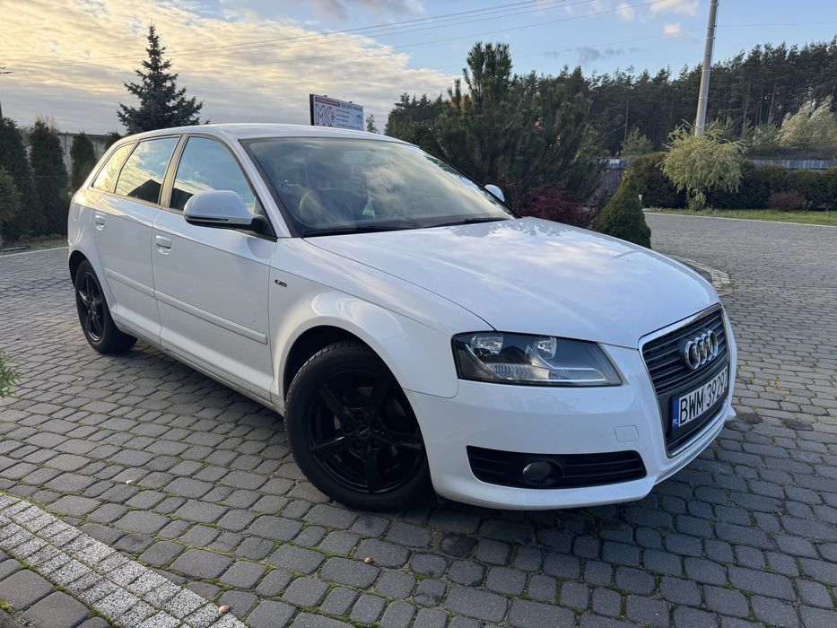 Audi A3 p8. 2010r. 1.6tdi skóra/alu/czyjniki/hak