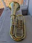 Bombardino Rott Sib
