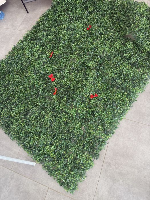 Trawa sztuczna żywoplot